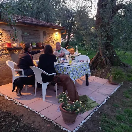 La Lucciola * Lari
