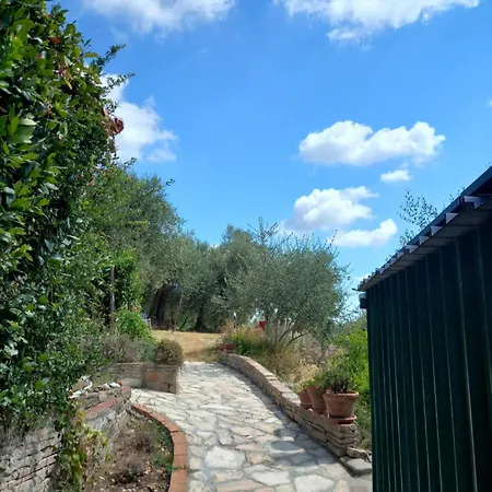 La Lucciola Lari